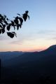 2010 07 13 jeanmarcperfetti.com 061.JPG
